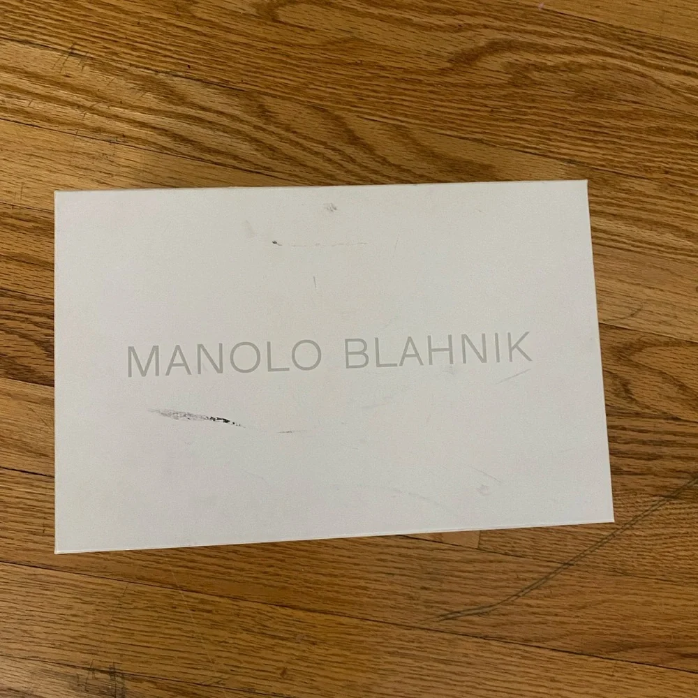 Manolo Blahnik BB Calf Leather Pointed Toe Pumps